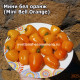 Мини бел оранж (Mini Bell Orange)