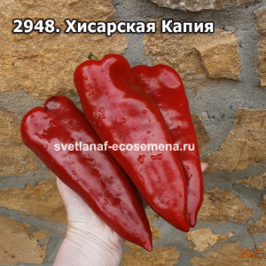 Хисарская Капия