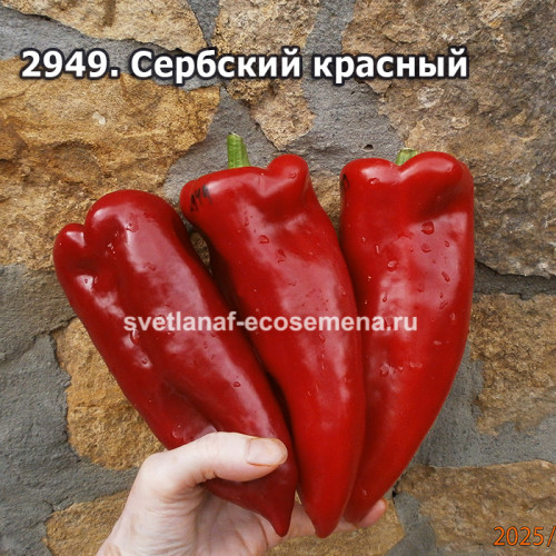 Сербский красный