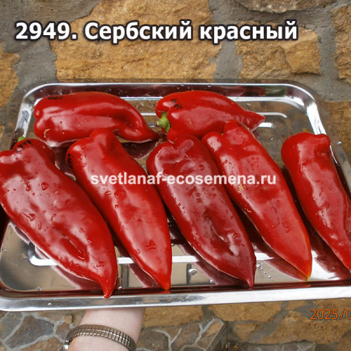 Сербский красный