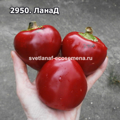 сладкий перец ЛанаД