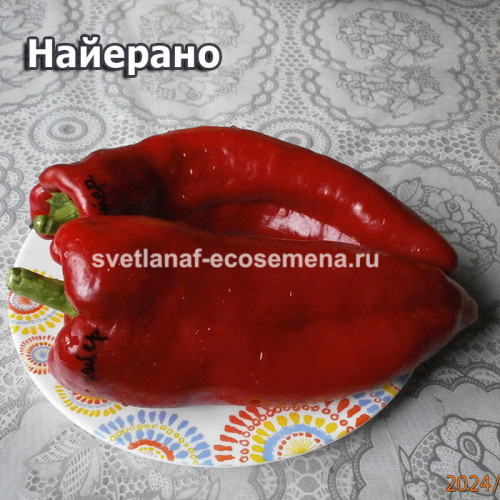 Najerano Pepper (Найерано)
