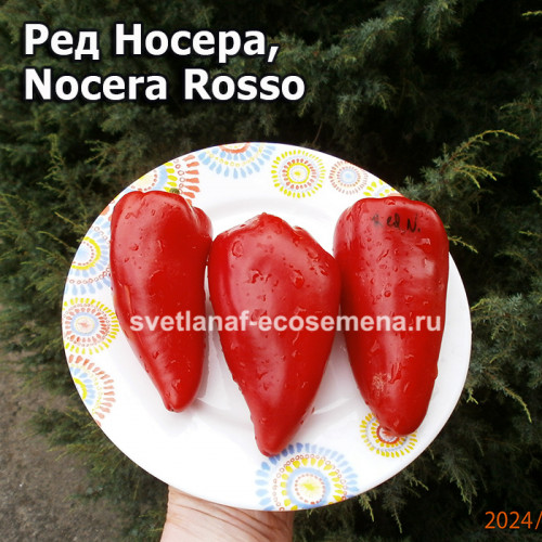 Ред Носера, Nocera Rosso