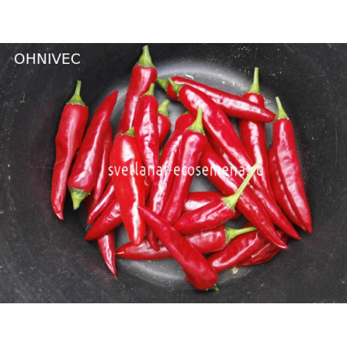 OHNIVEC (Огнивец)
