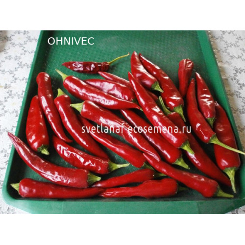 OHNIVEC (Огнивец)