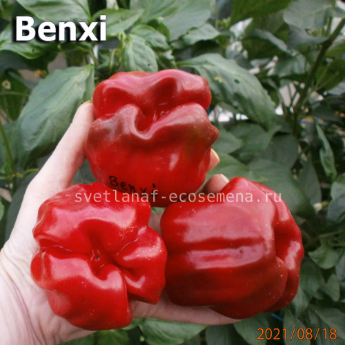 Benxi (Бэнкси)
