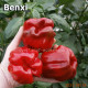 Benxi (Бэнкси)