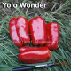 Yolo Wonder  Уоло Вондер