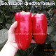 Большой фиолетовый