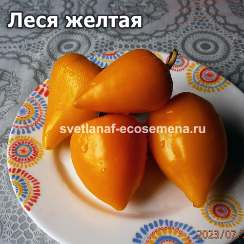 Леся желтая