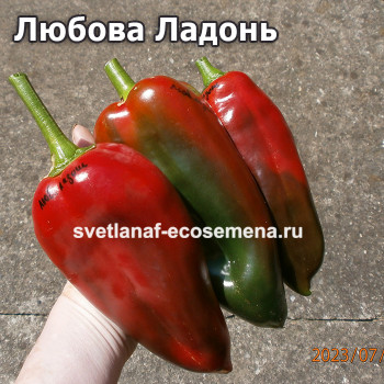 Любова Ладонь (Ljubov Dlan)