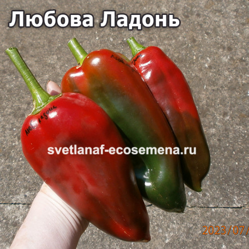 Любова Ладонь (Ljubov Dlan)