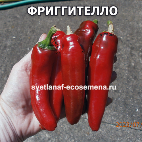 перец Фриггителло (Friggitello)