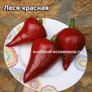 сладкий перец Леся красная