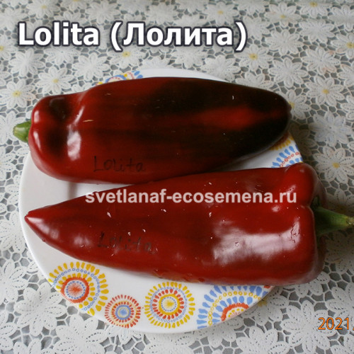 Lolita (Лолита)