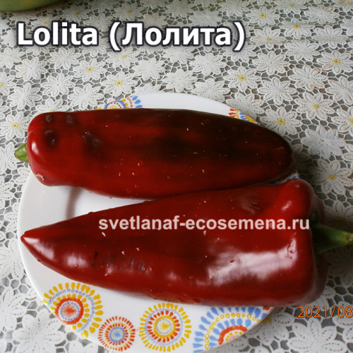 Lolita (Лолита)