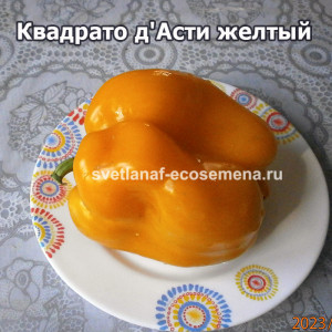 Квадрато де Асти желтый (Quadrato Dasti Giallo)