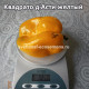 Квадрато де Асти желтый (Quadrato Dasti Giallo)