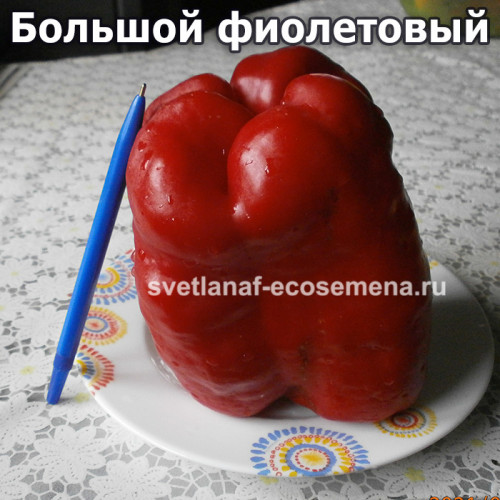 Большой фиолетовый