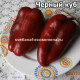 Черный куб