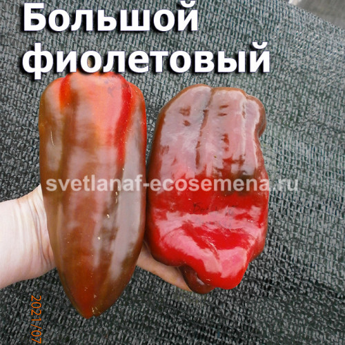 Большой фиолетовый