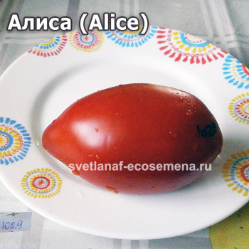 Алиса (Alice)