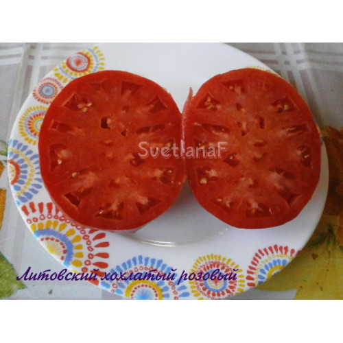 Lithuanian Crested Pink (Литовский хохлатый розовый)