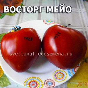 Mayo's Delight (Восторг мейо)