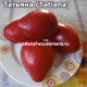 Татьяна (Tatiana)