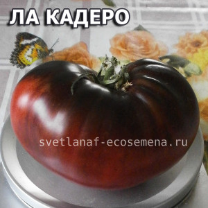 La Cadero (Ла кадеро)