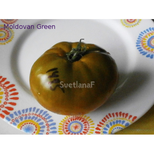 Moldovan Green (Молдавский зеленый, молдован грин)