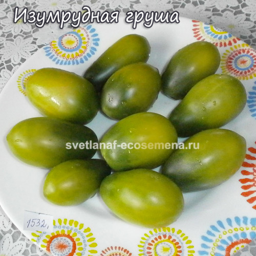 Изумрудная груша