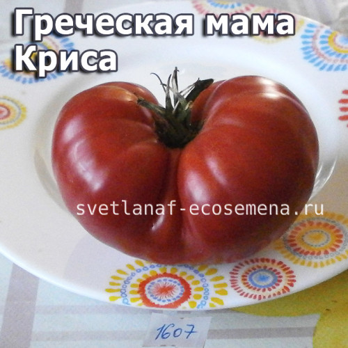 семена томата Греческая мама Криса (Chris's Greek Mama) 