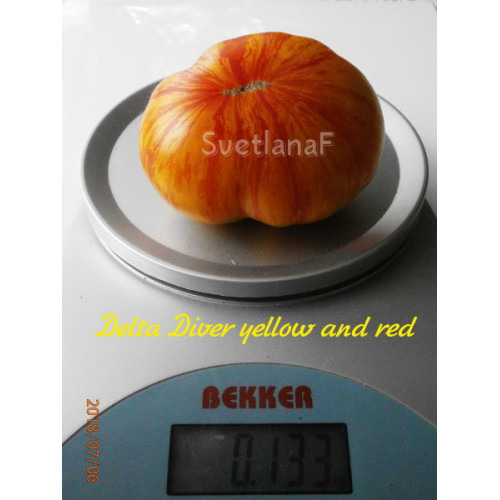 Delta Diver yellow and red (Дельта Дивер желтый и красный)