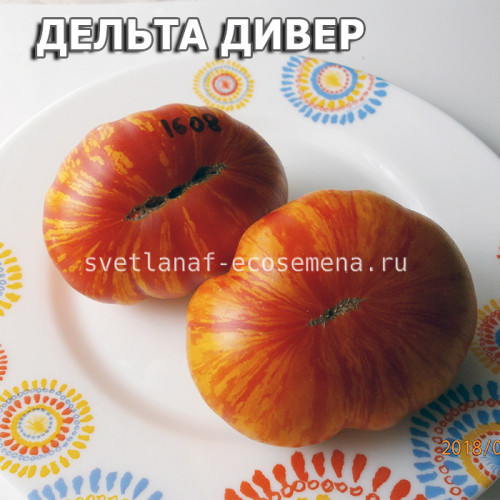 Delta Diver yellow and red (Дельта Дивер желтый и красный)