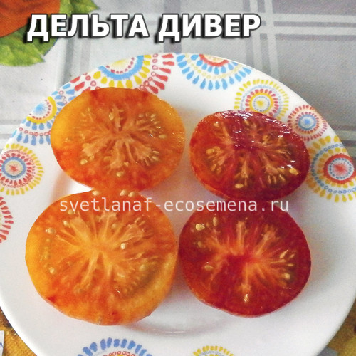 Delta Diver yellow and red (Дельта Дивер желтый и красный)