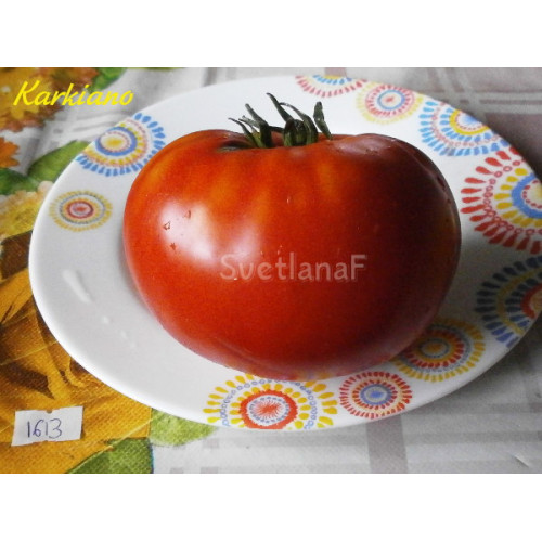 Karkiano (Каркиано)