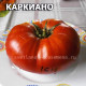 Karkiano (Каркиано)