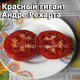 Andrew Rahart Jumbo Red (Красный гигант Андре Рехарта)