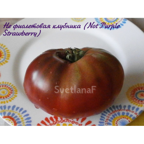 Not Purple Strawberry (Не фиолетовая клубника)
