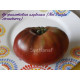 Not Purple Strawberry (Не фиолетовая клубника)