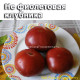 Not Purple Strawberry (Не фиолетовая клубника)