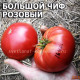 Big Cheef Pink Potato Leaf (Большой чиф розовый Картофельный лист)