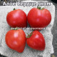 Dwarf Scarlet  Heart (Алое Сердце)