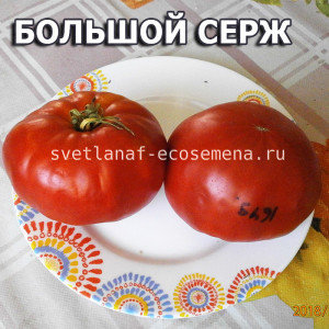 Grosse Serge (Большой Серж)