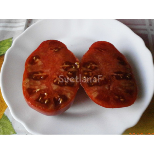 Oud Holland (Старая Голландия)