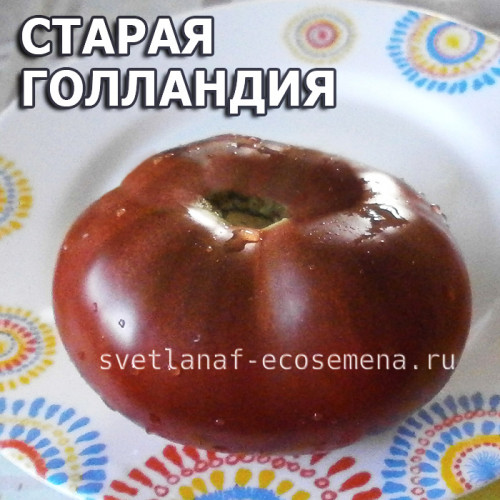 Oud Holland (Старая Голландия)