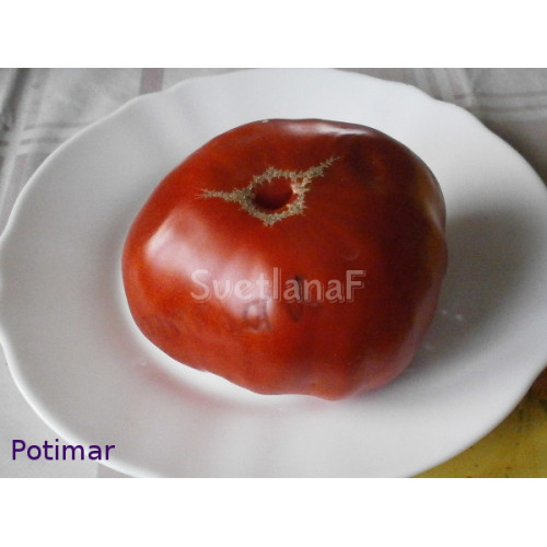 Potimar (Потимар)