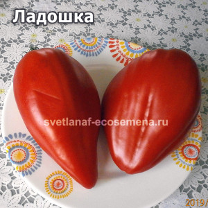 Ладошка