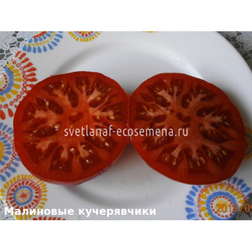 Малиновые кучерявчики